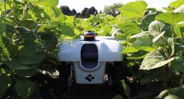 Vision for Ultra-Precision Agriculture Includes Machine-Learning Enabled Sensing, Modeling, Robots Tending Crops