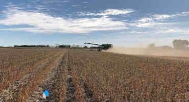 Is Planting Soybeans in 15-inch Rows with Split-Row Planters Profitable?
