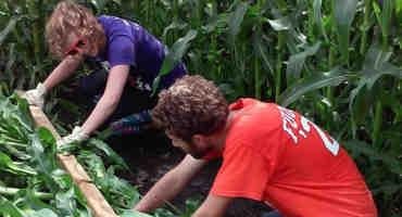 Growing sweet Corn at Higher Densities Doesn’t Increase Root Lodging Risk