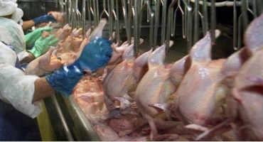 Demand For Poultry Skyrockets Through Pandemic