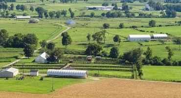 Rising Kentucky Land Prices Make Renting Attractive to Producers