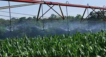 Scientists Propose Improvements to Precision Crop Irrigation