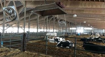 Calving Area Changes Led to Better Results