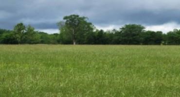 May a Key Time for Pastures as Grasses Make Warm-Season Transition