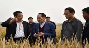 China's Yuan Longping Dies; Rice Research Helped Feed World