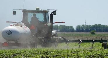 Are Split Applications of Nitrogen Fertilizer in Minnesota Worth it?