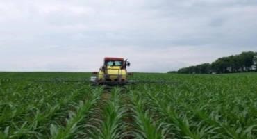 Current In-season Nitrogen Management Considerations for Corn Production