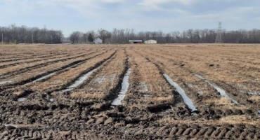 Should you Plant Double Crop Soybeans in Michigan?