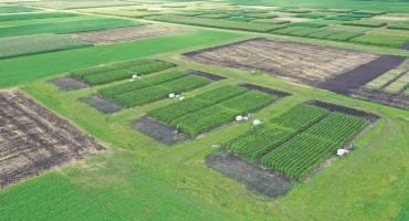 Traditional vs Advanced Nitrogen Management in Poorly Drained Soils