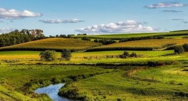 Water Rule Reversal a Blow to Agriculture
