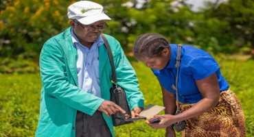 Data and Farming Innovations Aiding Crop Pest Risk Prediction and Management in Low Income Countries