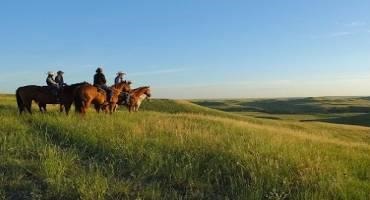 Managing and Protecting Grasslands for the Future