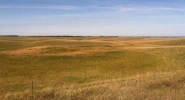 Grassland Management Do’s and Don’ts
