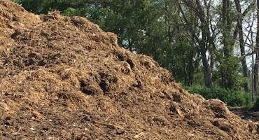 How to Avoid Soil Phosphorus Build-up From Manure