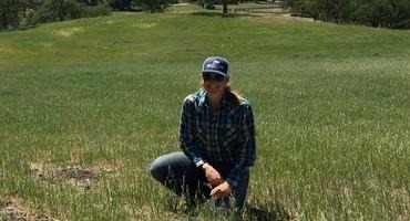 Testing Targeted Rotational Grazing for Ecological and Financial Benefits