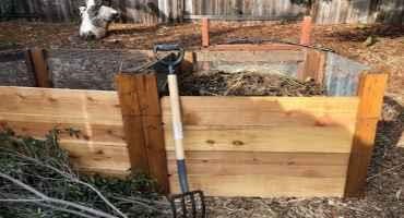 Speeding up Backyard Composting One Day at a Time