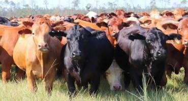 Executive Order Creates Opportunities for Farmers and Ranchers