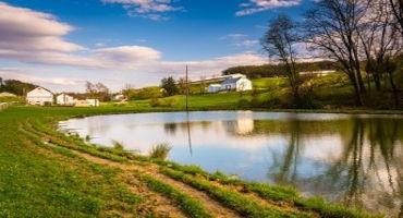 Stocking Farm Ponds During Hot Summer Months
