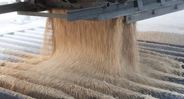 Ont. winter wheat growers talk harvest