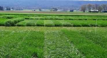 Forage Variety Trials Reports