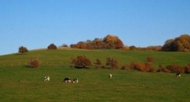 Fall Pasture Management and Renovation