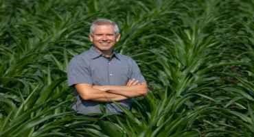 Corn's Genetic Diversity on Display in new Genome Study