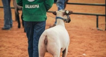 Livestock Biosecurity a Diligent and Serious Task