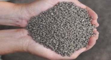 Phosphorus Management: Soil Phosphorus Storage Capacity for Alabama Piedmont Soils