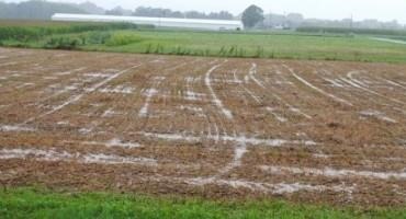 Hurricane Ida: A Good Reminder to Keep Soils Covered