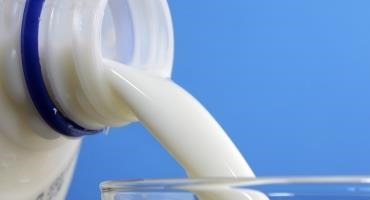 A Guide to Class I Milk Formula Options