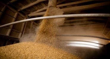 From Sustainability to Infrastructure, U.S. Soy Is Invested
