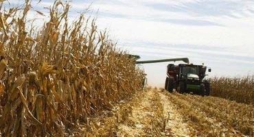 Crop Progress: Corn, Soybean, Sorghum Harvest Running Near Average