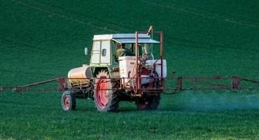 Waterhemp Goes off Script to Resist Herbicides
