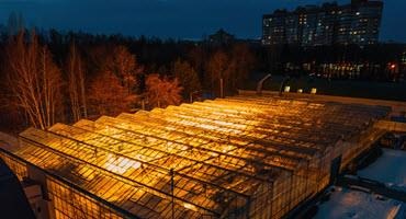 Light leak data from Ont. greenhouses