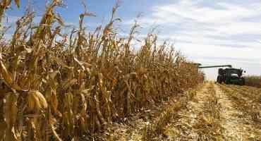 Crop Progress: Harvest 2021 Continues Ahead of Average