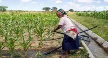 Farming Reboot could Lay Seeds for Prosperity in Poor and Food Insecure Regions