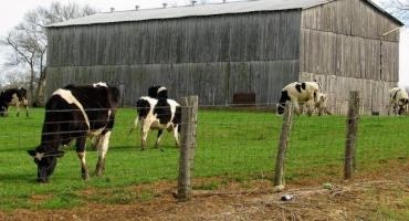 Got Innovation? New Idaho Center Could Change the Food and Dairy Industry