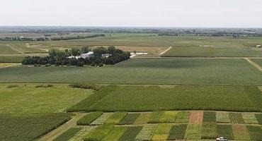 More Diverse Crop Rotations Improve Yield, Yield Stability and Soil Health