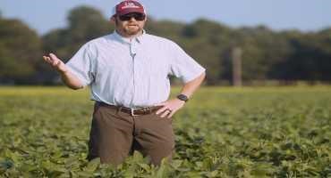 Arkansas Study Shows Soybeans Yield 10.5% more with Cover Crop