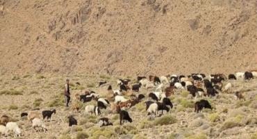 Back to the Future: Sustainable Management of Heritage Resources and Traditional Landscapes in Morocco