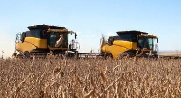 Crop Progress: Soybean Harvest at 91%