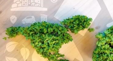 McDonald’s USA Commits $5 Million to Collaboration Accelerating Climate-Smart Farming Solutions