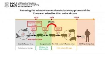 Ancestral Sequence Reconstruction of Avian Influenza Virus Transmission in Pigs