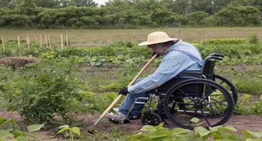 NIFA Invests in Research to Accommodate People with Disabilities Working in Agriculture