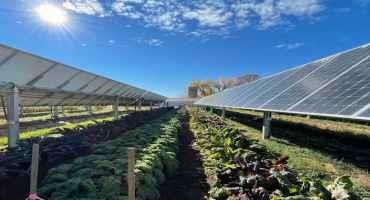 This Colorado 'Solar Garden' is Literally a Farm Under Solar Panels