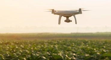 Adaptive Swarm Robotics Could Revolutionize Smart Agriculture