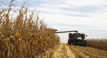 Crop Progress: Corn Harvest at 90%, Sorghum 91%