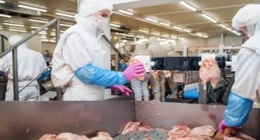 Giving Thanks to America’s Meatpacking Workers with Policy Change