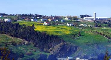Finding Nfld.’s place in the next ag policy framework