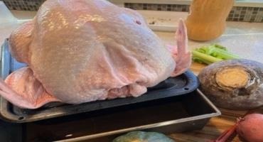 Protect Yourself From Salmonella this Thanksgiving